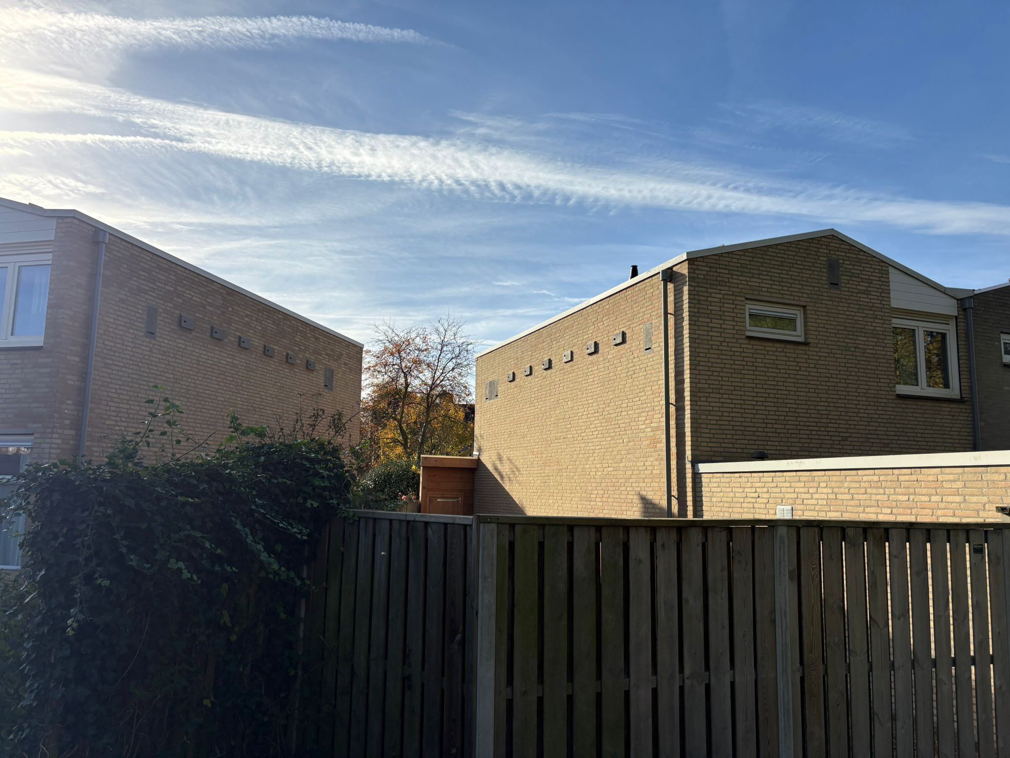 12946c14-e77f-44a5-b667-c9c777694499