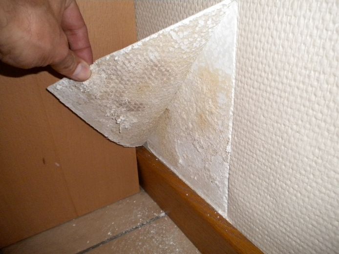 Vocht in de woning 